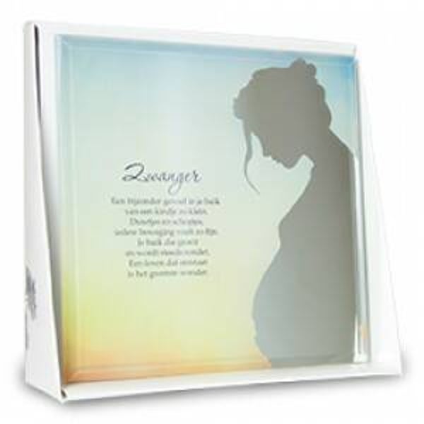 Zwanger - silver silhouette