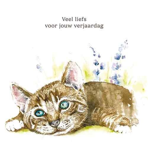 Kat verjaardag - wenskaart Mooz