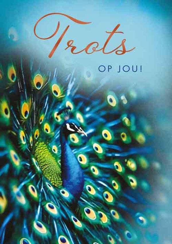 Trots op jou! - wenskaart Moments