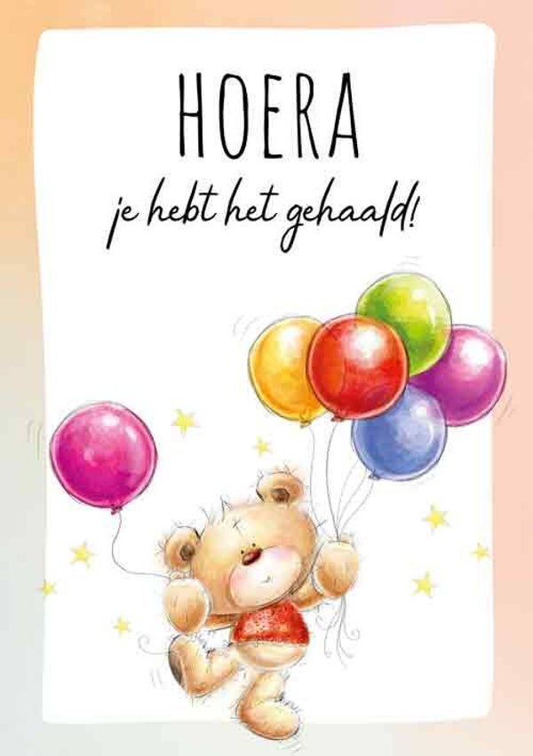 Hoera je hebt het gehaald! - wenskaart geslaagd