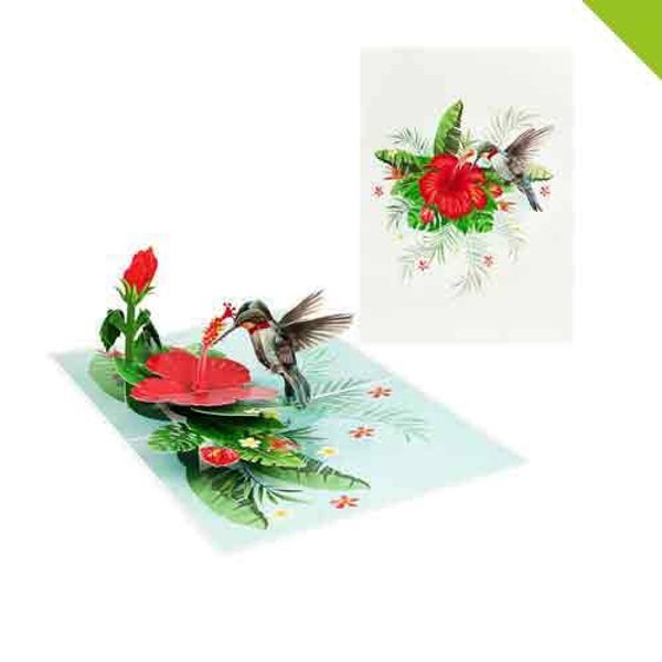 Kolibrie - 3D pop-up wenskaart Kiriori