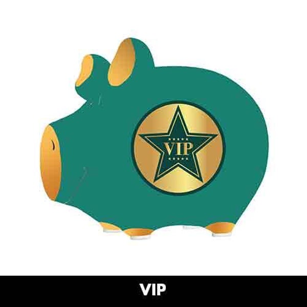 VIP - spaarpot varken in geschenkverpakking