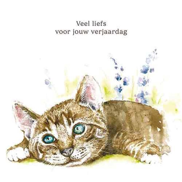 Kat verjaardag - wenskaart Mooz