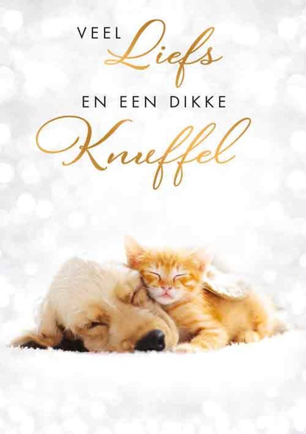 Veel liefs - wenskaart Moments