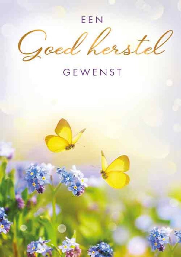 Goed herstel gewenst - wenskaart Moments