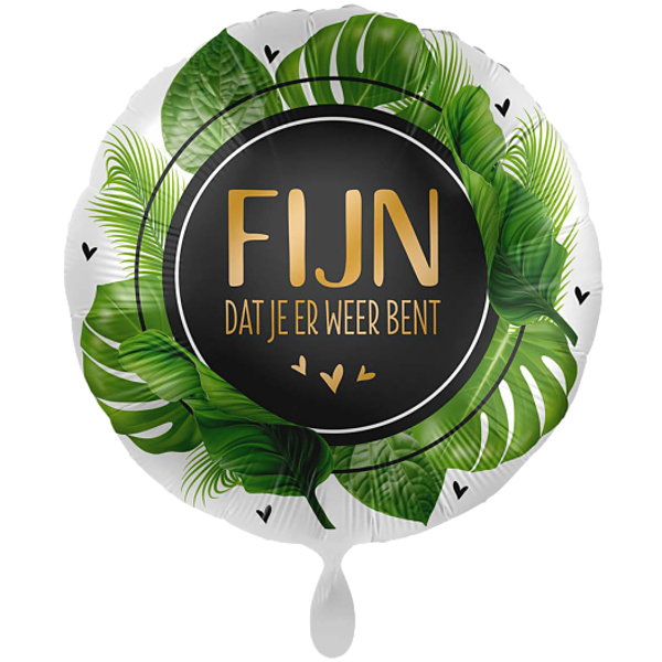 Fijn dat je er weer bent - folieballon