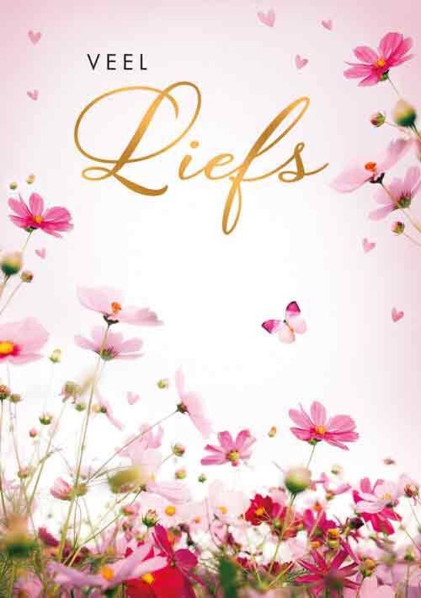 Veel liefs - wenskaart Moments