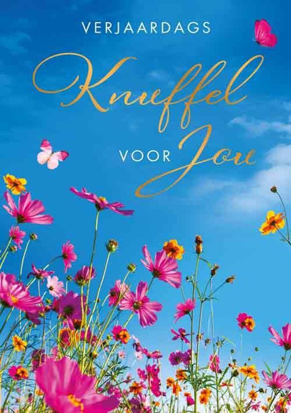 Verjaardags knuffel - wenskaart Moments