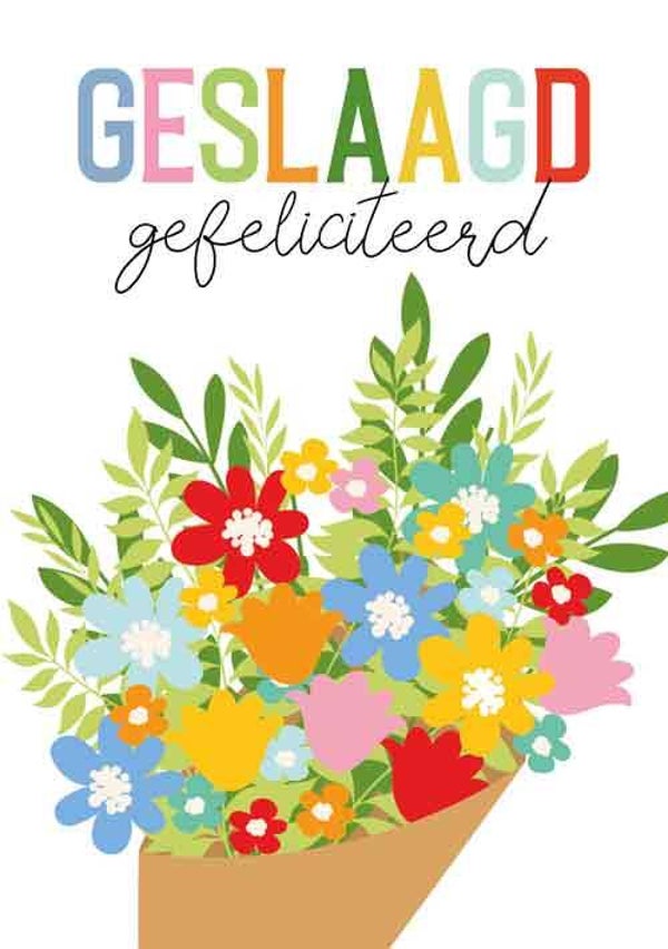 Geslaagd gefeliciteerd! - wenskaart geslaagd