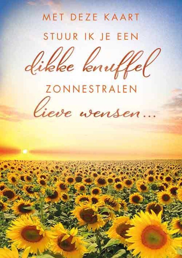 Dikke knuffel - wenskaart Moments