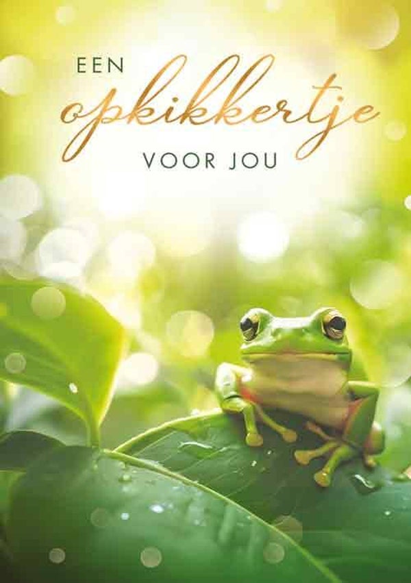 Opkikkertje voor jou - wenskaart Moments