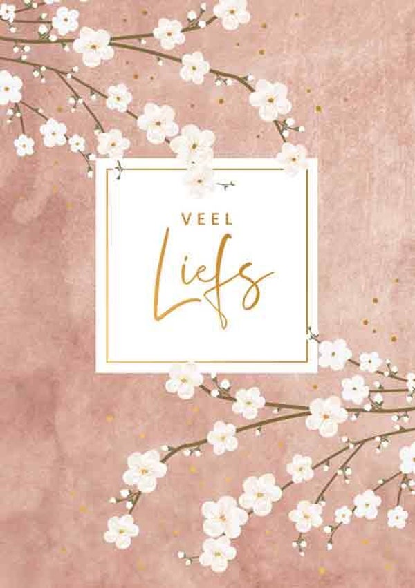 Veel liefs - wenskaart gold rush