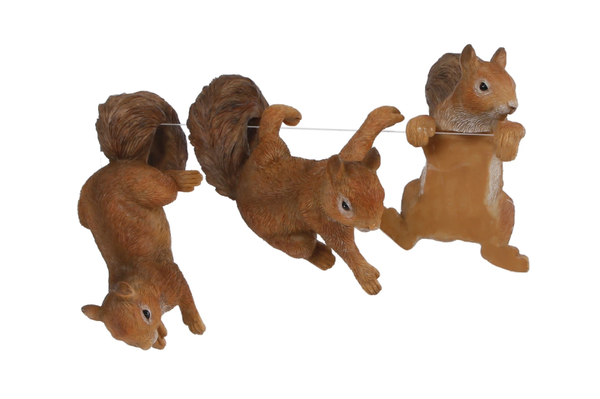 Sculptuur Sam - eekhoorn