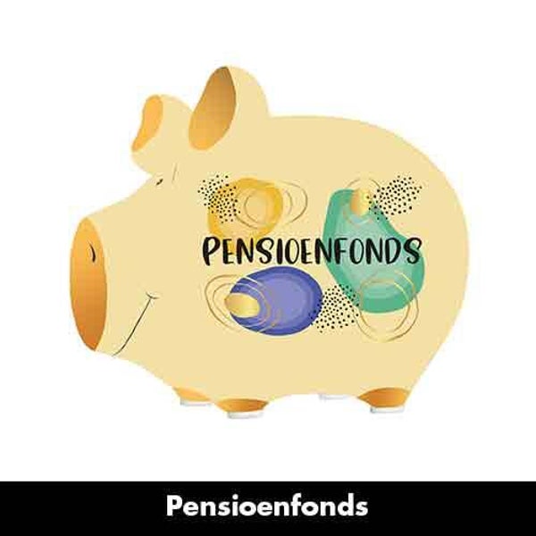 Pensioenfonds - spaarpot varken in geschenkverpakking