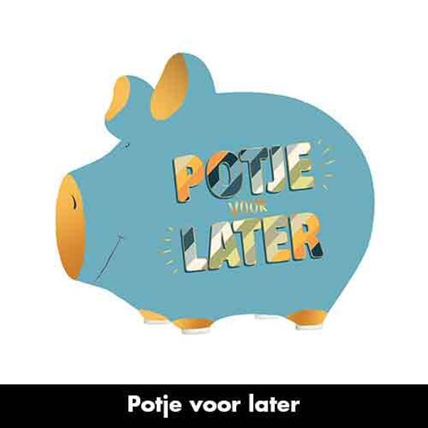 potje voor later - spaarpot varken in geschenkverpakking