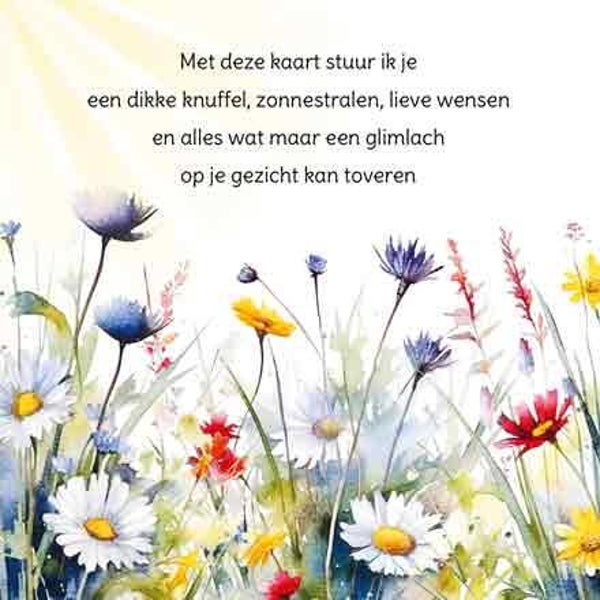 Een dikke knuffel door de brievenbus - wenskaart