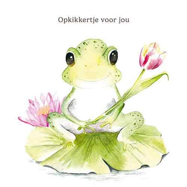 Opkikkertje voor jou kikker - wenskaart Mooz