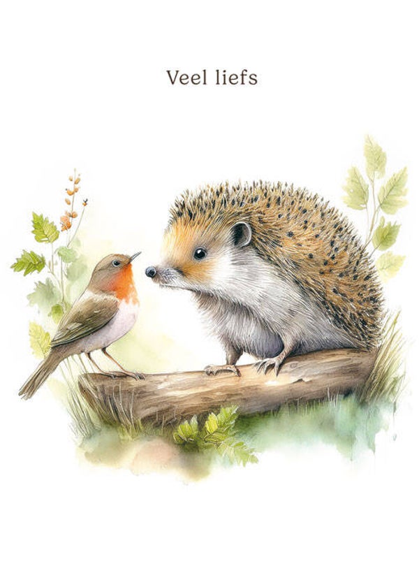 Veel liefs egel met roodborstje - wenskaart mooz