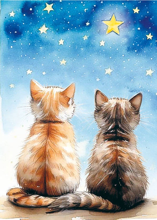 Katten kijkend naar de sterren - wenskaart mooz