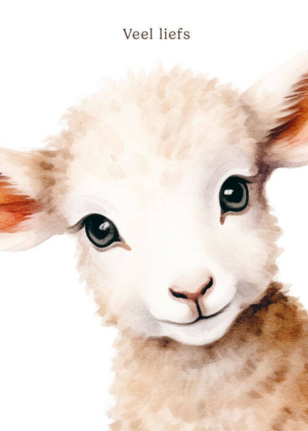 Veel liefs lammetje - wenskaart mooz