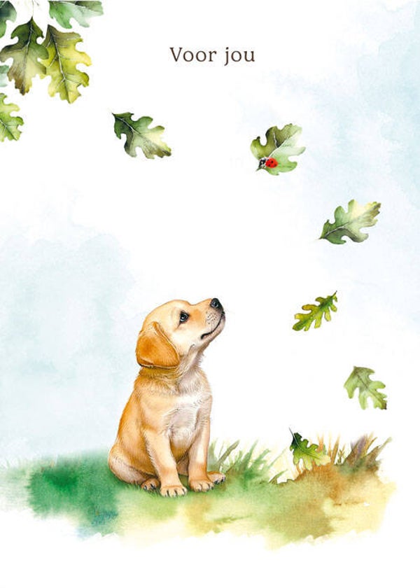 Voor jou hond - wenskaart mooz