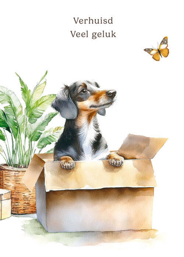 Verhuisd Veel geluk hond in doos - wenskaart mooz