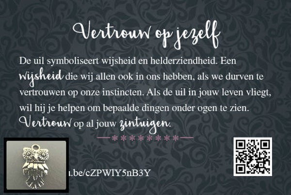 Uil - cadeau kaartje met bedeltje