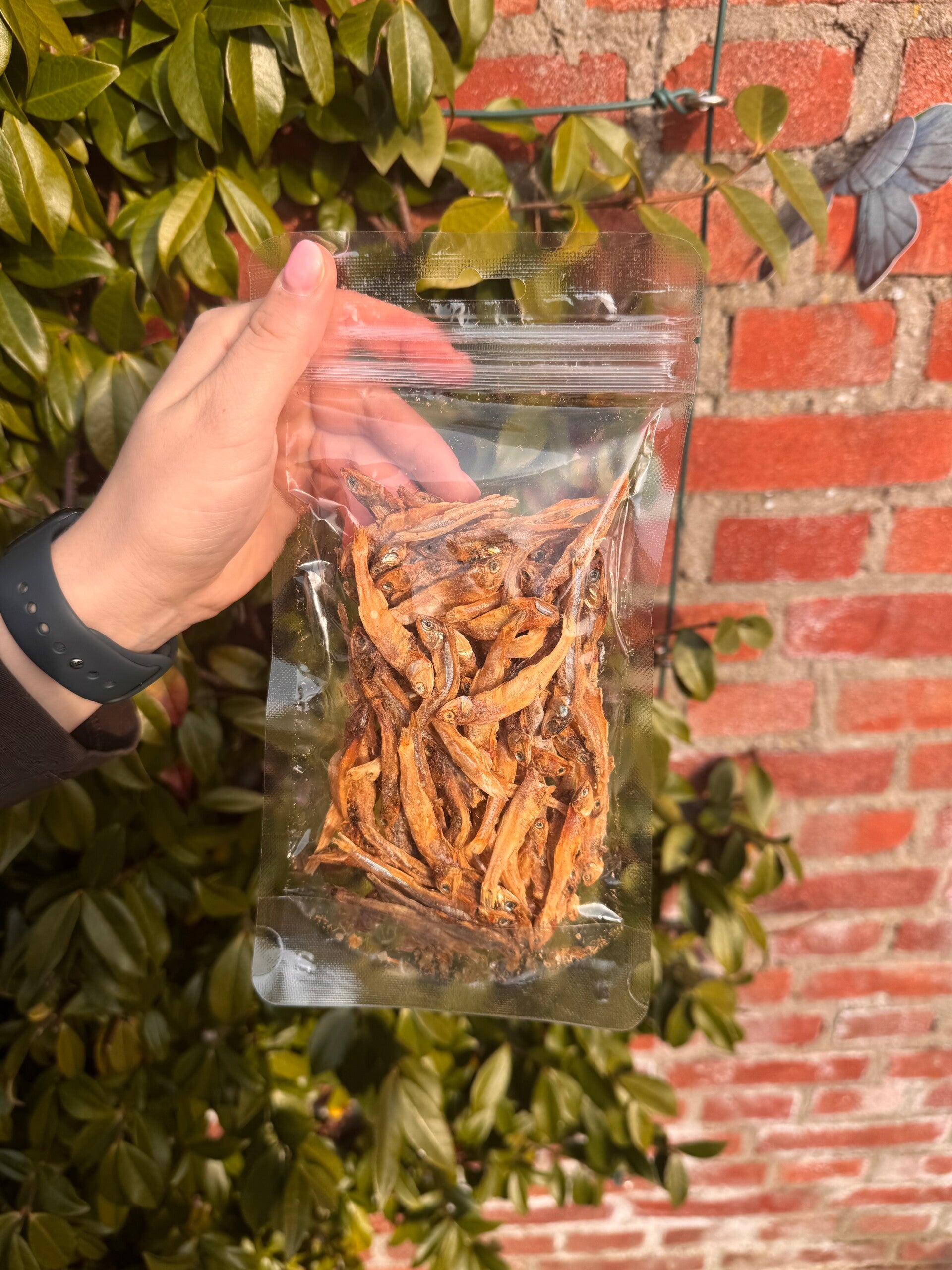 Vistrainers (ansjovis) - Natuurlijke Vis Trainers