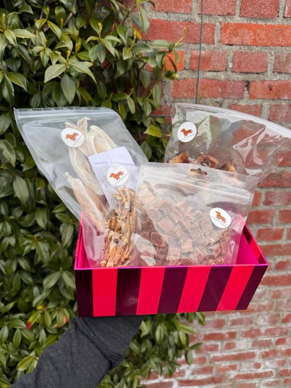 Puppy ontdekkingsbox