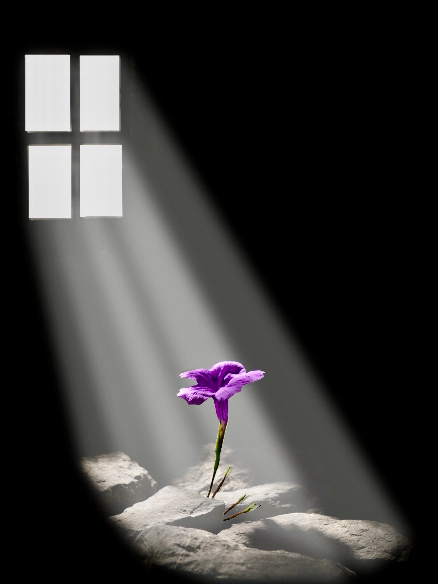 Blume sehnt sich nach Licht