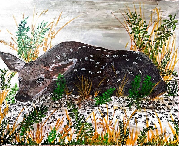 Baby Elk
