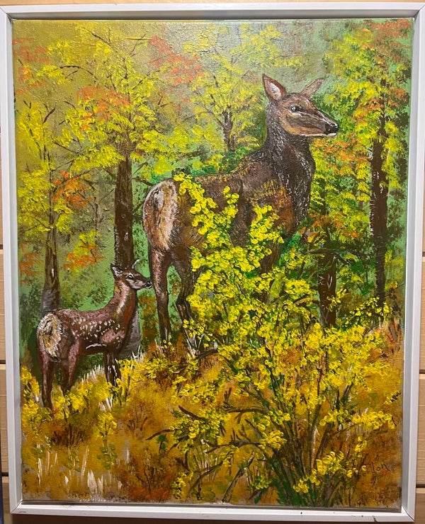 A walk in the Woods