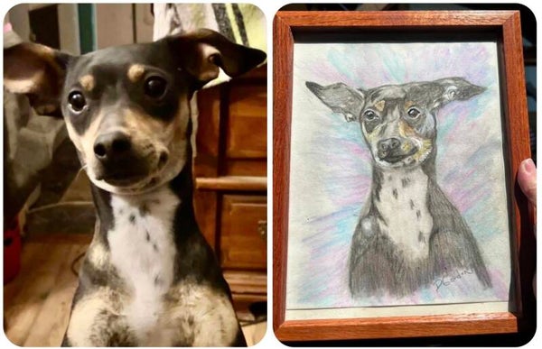PET Portraits