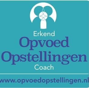 Opvoedopstelling Arnhem velp rheden oosterbeek renkum schaarsbergen elst nijmegen westervoort dieren lumi coaching 1