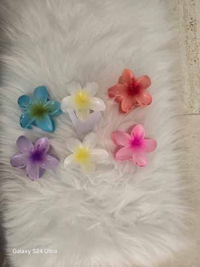 Pinza hawaiana