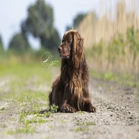 IMG_00191.jpg