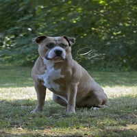 IMG_08481626983437952.jpg