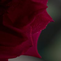 img_4701.jpg