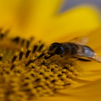 img_4152.jpg