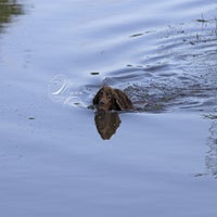 IMG_03101.jpg