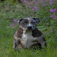 IMG_9813-2.jpg