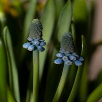img_4734.jpg