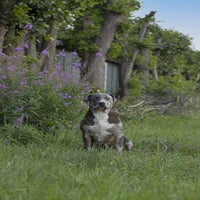 IMG_9775.jpg