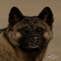 naamloos-2-1.jpg