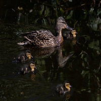 img_8558.jpg
