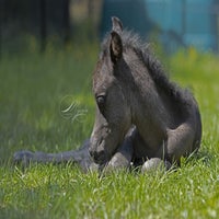 IMG_0617.jpg