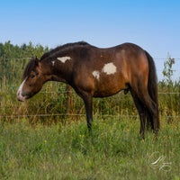 IMG_7753-4-1.jpg