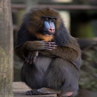 img_5829.jpg