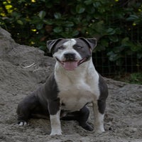 IMG_9664.jpg