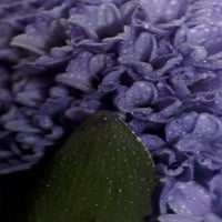img_4725.jpg